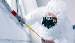 Best Residential Pest Control  in Wauconda, IL